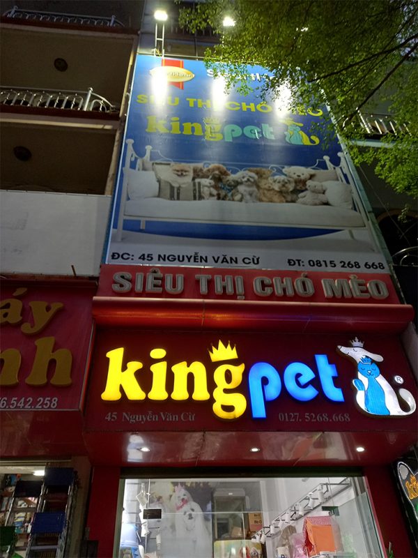 Biển hiệu quảng cáo shop thú cưng King Pet Siêu Thị Chó Mèo