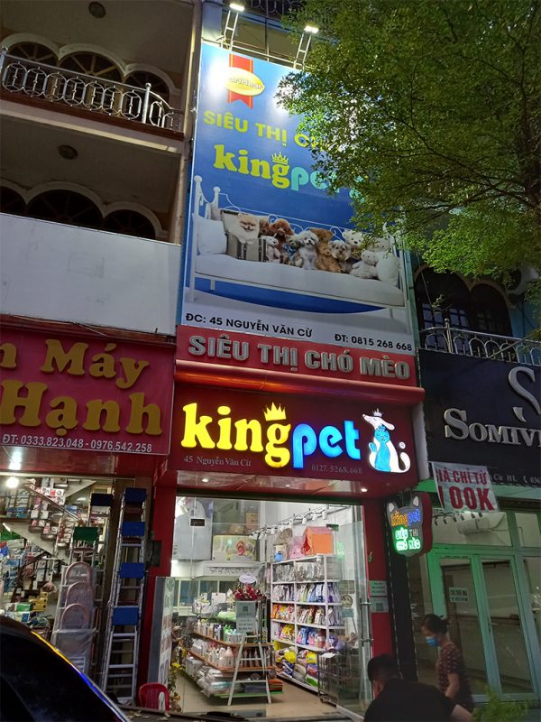 Biển hiệu quảng cáo shop thú cưng King Pet Siêu Thị Chó Mèo